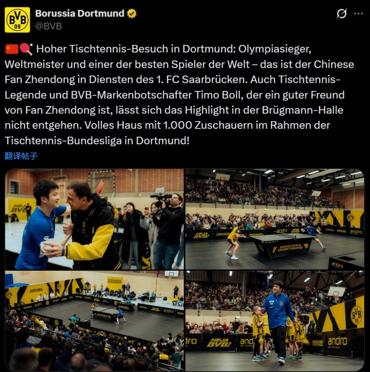 樊振东随队客战多特吸引上千球迷观战，多特死忠波尔也来到现场